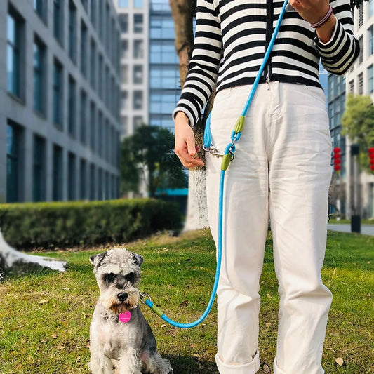 Walk Safely & Comfortably with the YOUSE Strong Reflective Dog Leash