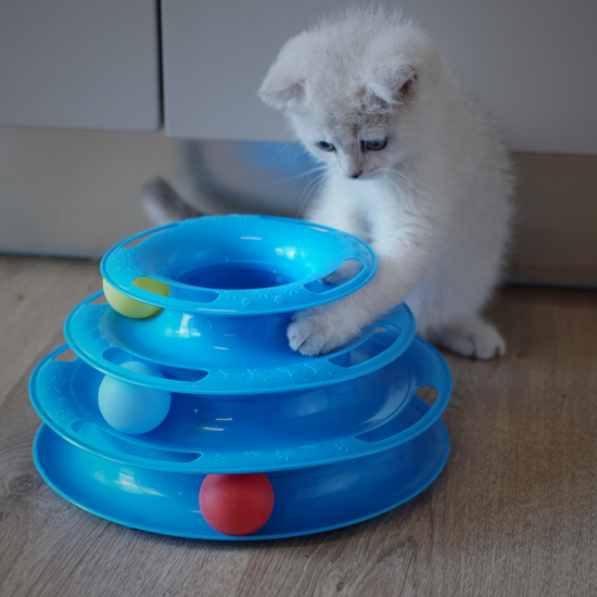 Pet Toys