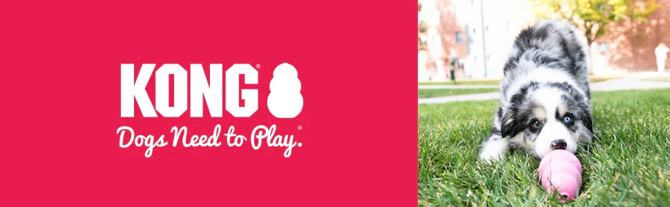 KONG Puppy Natural Teething Rubber Dog Chew Toy with Your Choice of Dog Treat Toy XS-L