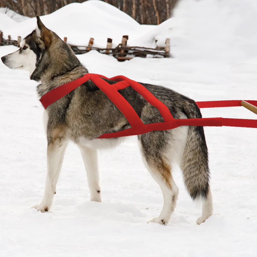 Durable Dog Sled Harness – Padded Weight Pulling & Agility Training Harness
