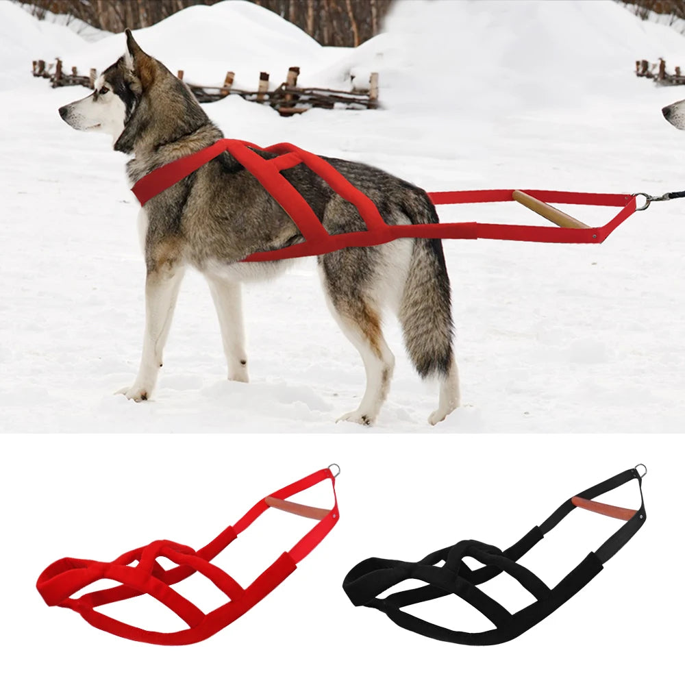 Durable Dog Sled Harness – Padded Weight Pulling & Agility Training Harness