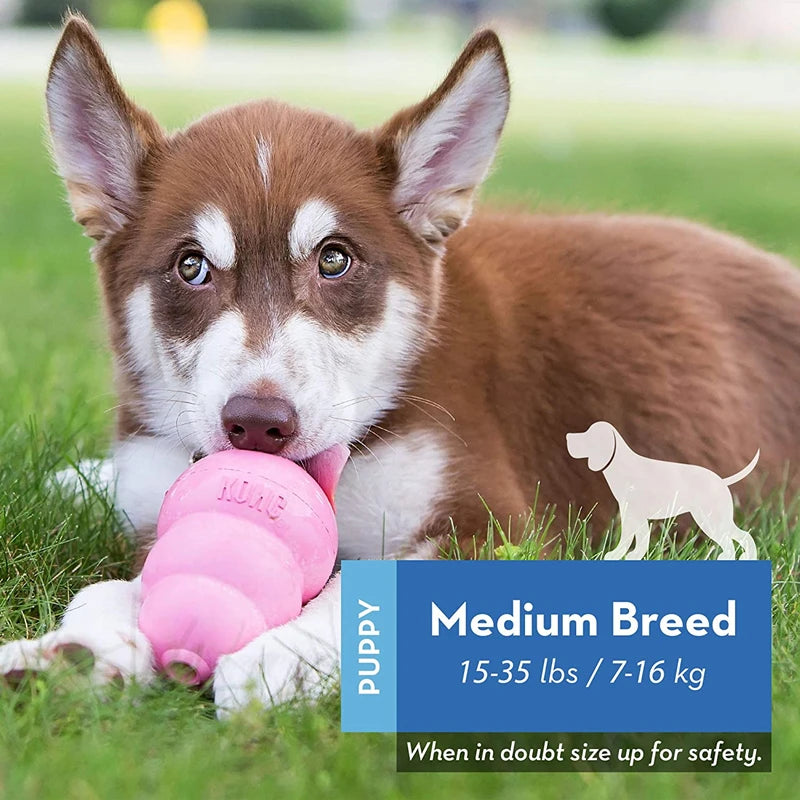 KONG Puppy Natural Teething Rubber Dog Chew Toy with Your Choice of Dog Treat Toy XS-L