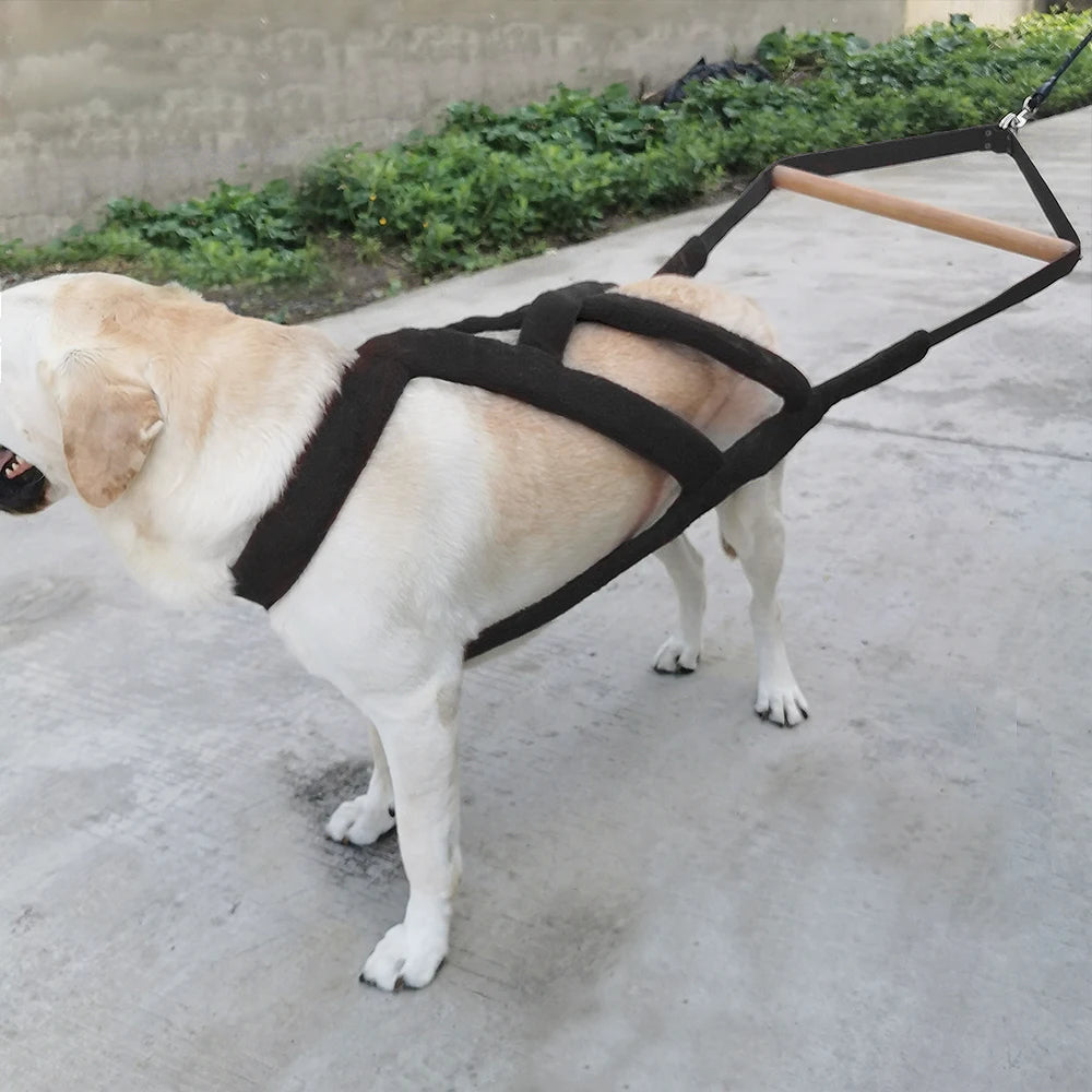 Durable Dog Sled Harness – Padded Weight Pulling & Agility Training Harness