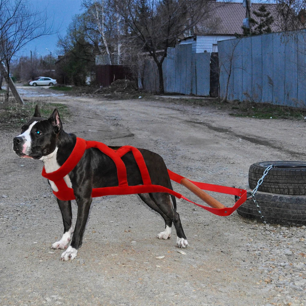 Durable Dog Sled Harness – Padded Weight Pulling & Agility Training Harness