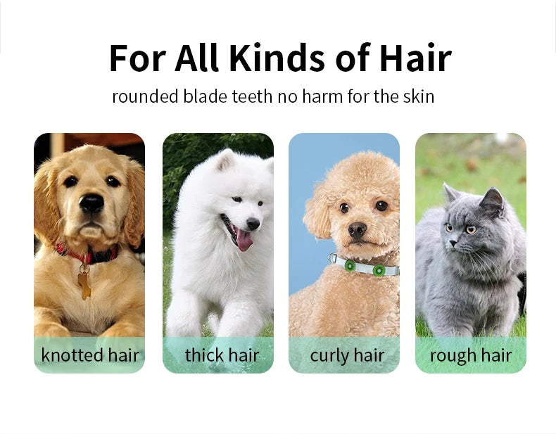 Pet grooming hospital kittensand puppies mute electric push clippers electric waterproof professional shaving haircutting talis