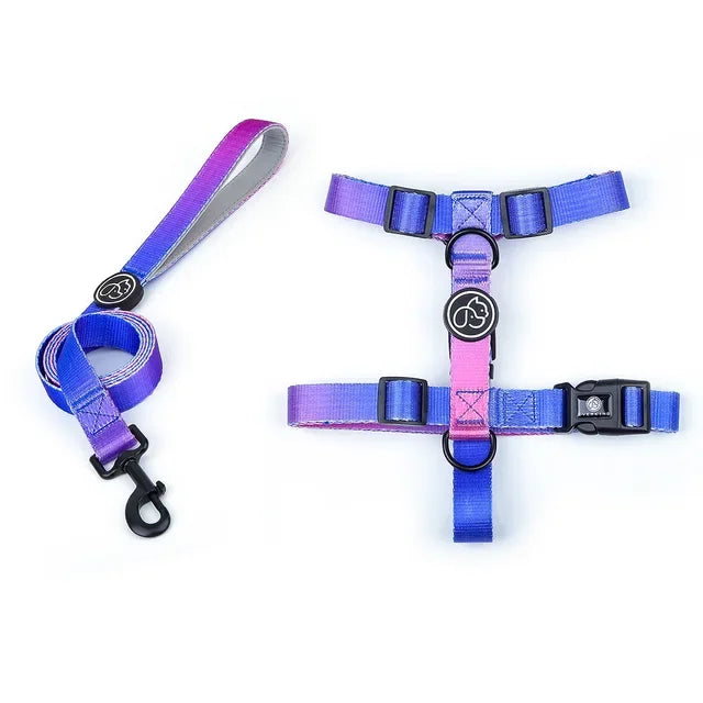Gradient color Dog Collar and Leash Set dog luxury desgin harness for small medium and large dog harness and leash personalized