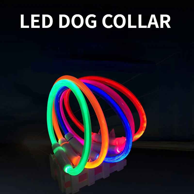 LED Luminous Pet Collar – USB Rechargeable