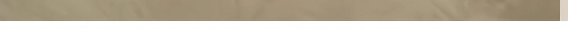90X60CM Cat Litter Mat Waterproof Double Layer Pet Litter Box Mat Pet Toilet Cat Mat Nonslip Sand Cat Washable Mat Pet Clean