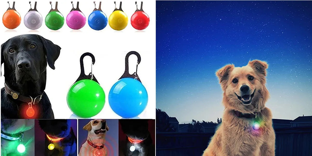 USB Rechargeable LED Pet Collar – Adjustable Glowing Safety Light