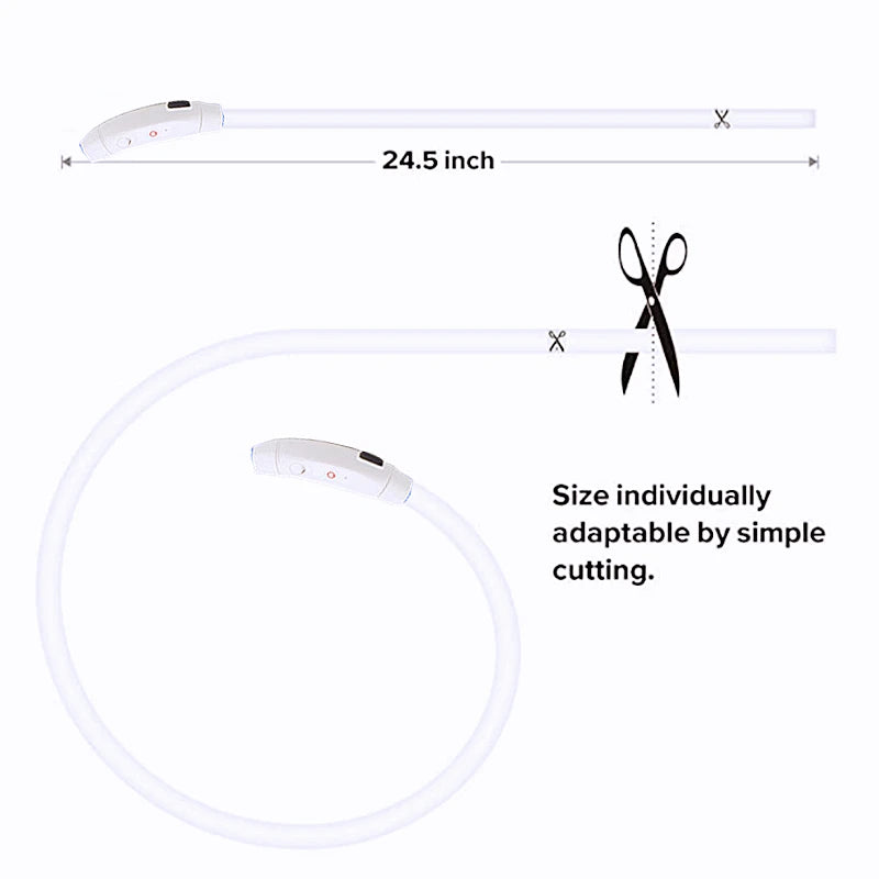 USB Rechargeable LED Pet Collar – Adjustable Glowing Safety Light