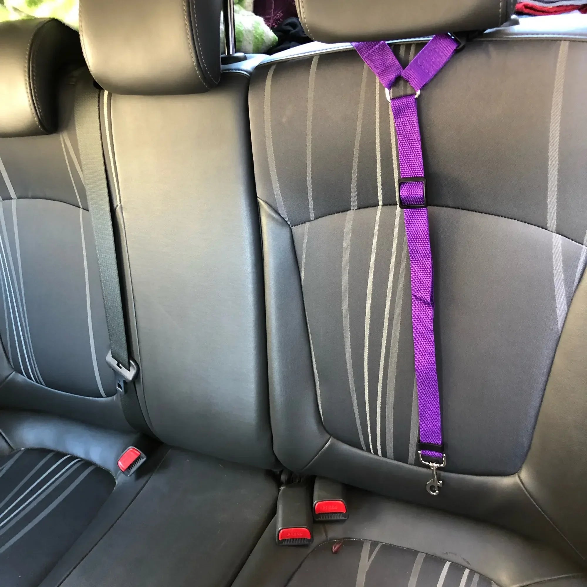 2-in-1 Pet Car Seat Belt & Leash – Adjustable Safety Harness