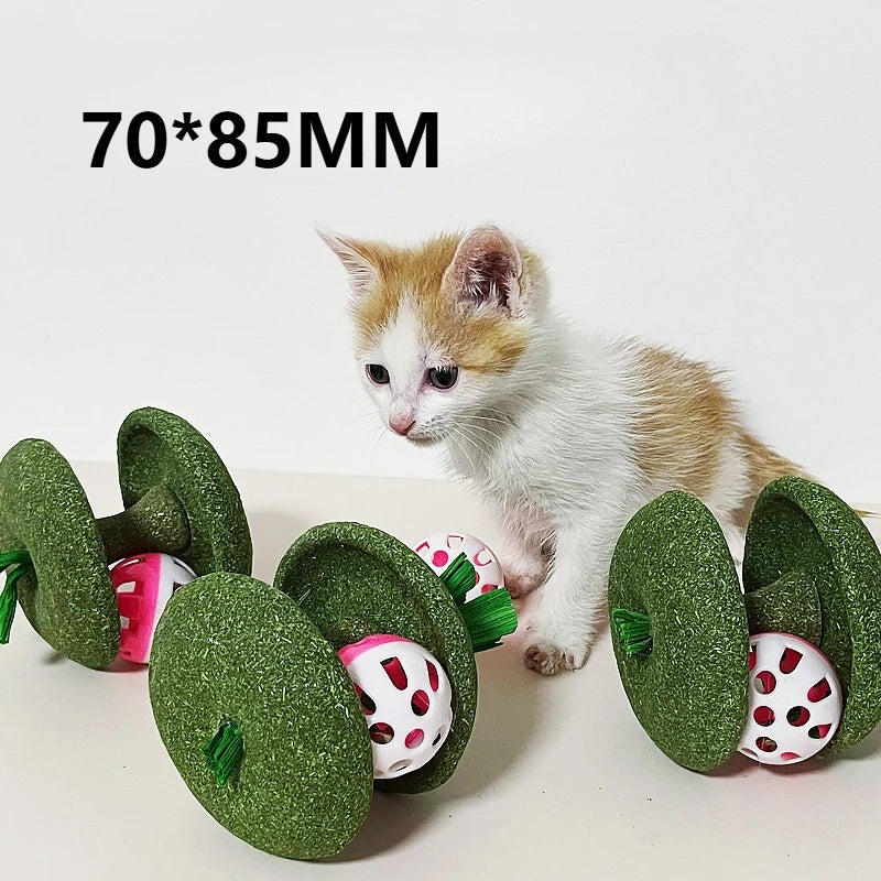 Cat Toys Natural Catnip Ball Cage Ball & Bell Ball for Indoor Cats, Kitten Cleaning Teeth Molar Matatabi Cat Chew Toy All Breeds