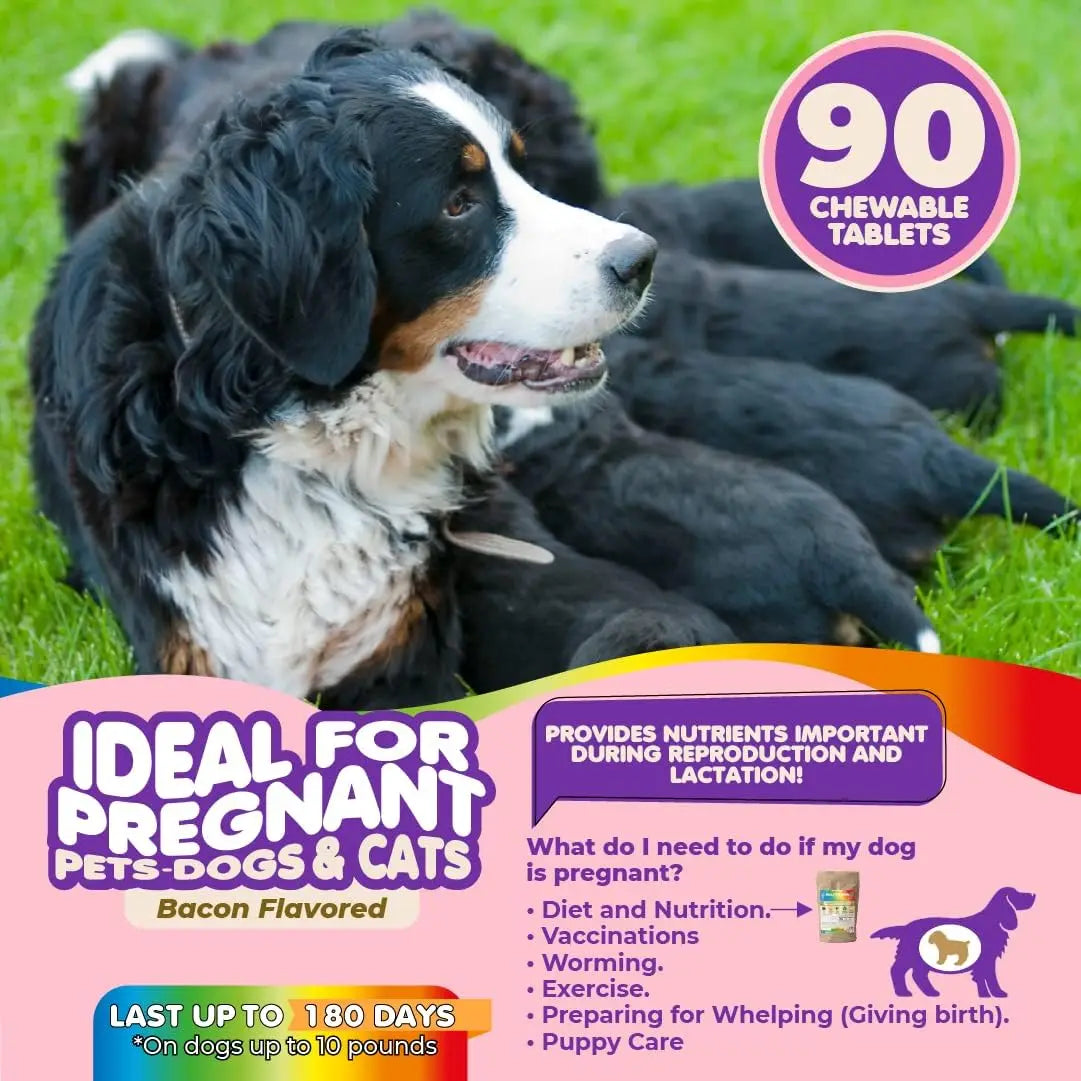 Prenatal Dog Vitamins – Multivitamin for Dogs and Cats with Folic Acid, Minerals and Amino Acids. Ideal for Pregnant, Breast