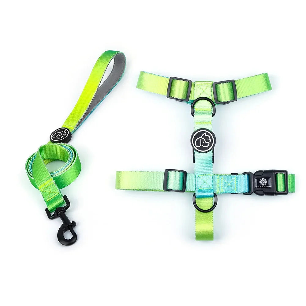 Gradient color Dog Collar and Leash Set dog luxury desgin harness for small medium and large dog harness and leash personalized
