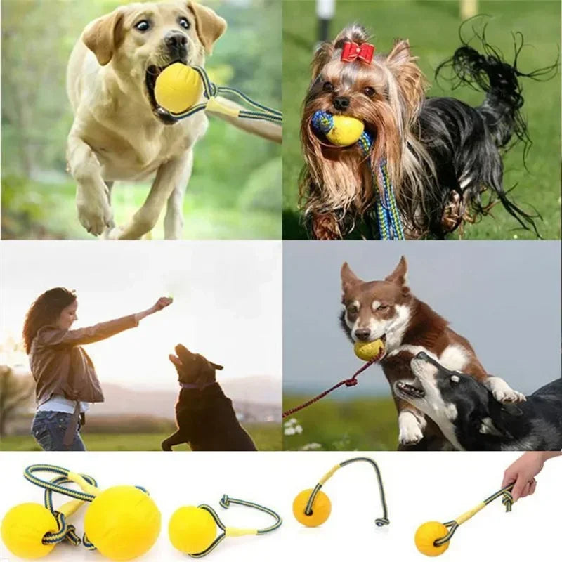 Indestructible Chew-Resistant Dog Ball Toy