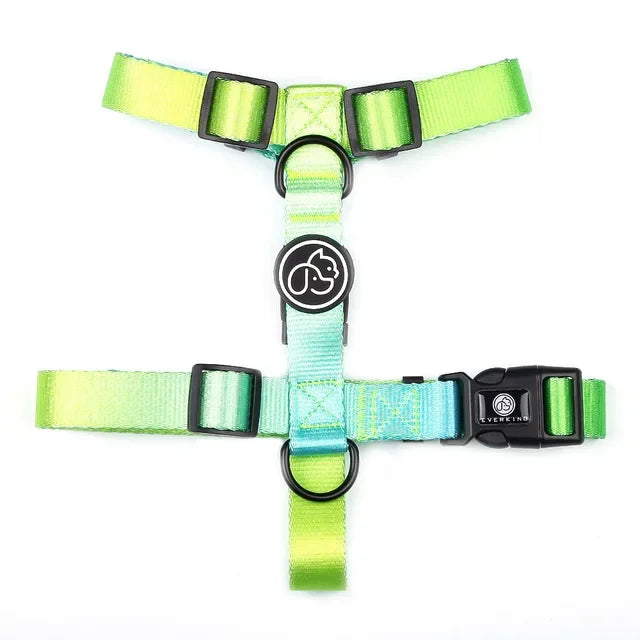 Gradient color Dog Collar and Leash Set dog luxury desgin harness for small medium and large dog harness and leash personalized