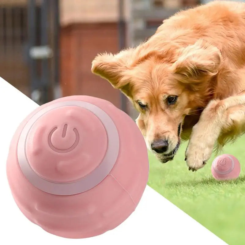 Interactive Fetch Dog Ball Smart Sensor Technology 360 Degree Scrolling Dog Toy Ball Fetch Dog Ball For Pet Dog Puppy Cat
