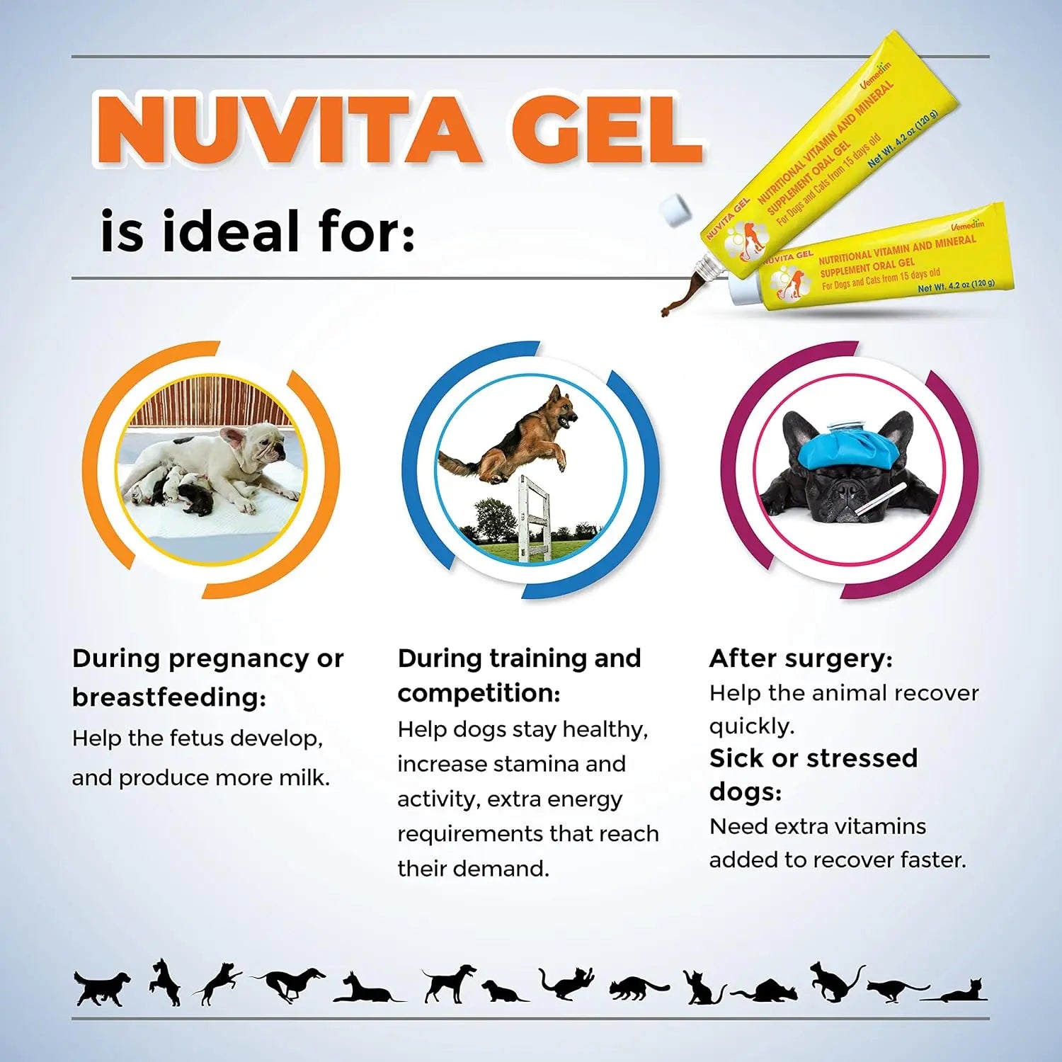 Premium Nutritional and Vitamin Gel for Dogs and Cats - Enhance Health, Boost Appetite, and Energize! Suitable for All Breeds an