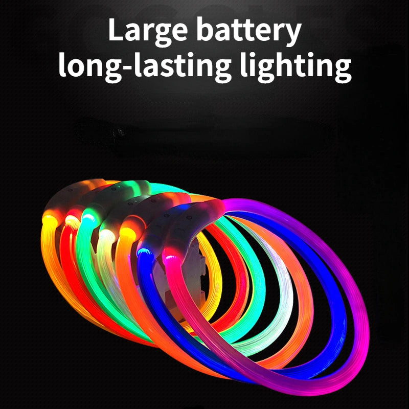 LED Luminous Pet Collar – USB Rechargeable