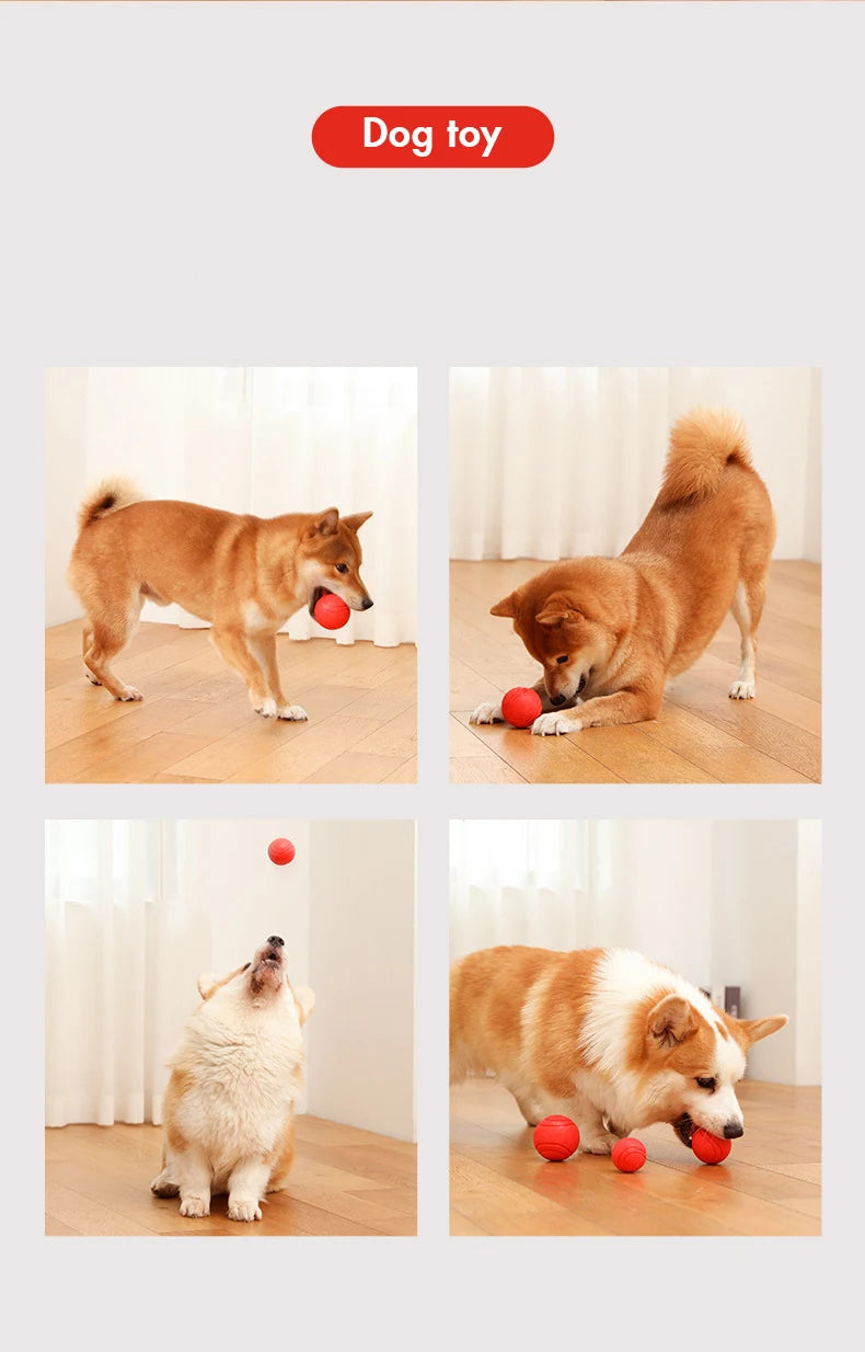 Indestructible Chew Proof Rubber Ball S to L Size Durable Bouncy Dog Toy for Pets Training Interactive Chew Resistant Molar Ball