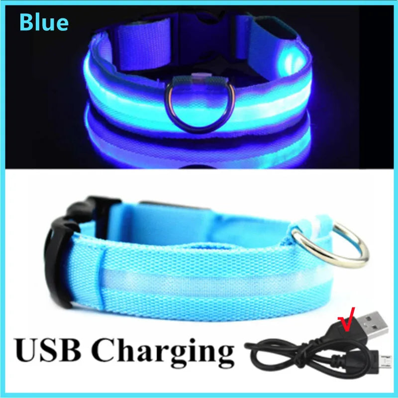 USB Rechargeable LED Pet Collar – Adjustable Glowing Safety Light