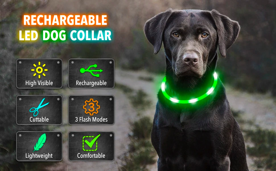 USB Rechargeable LED Pet Collar – Adjustable Glowing Safety Light
