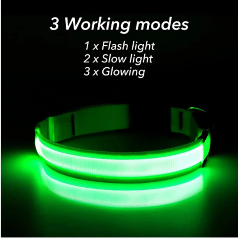 USB Rechargeable LED Pet Collar – Adjustable Glowing Safety Light