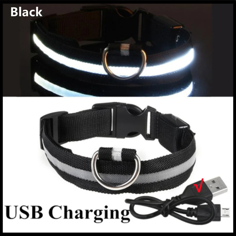 USB Rechargeable LED Pet Collar – Adjustable Glowing Safety Light