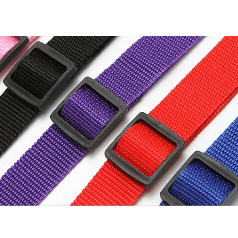 2-in-1 Pet Car Seat Belt & Leash – Adjustable Safety Harness