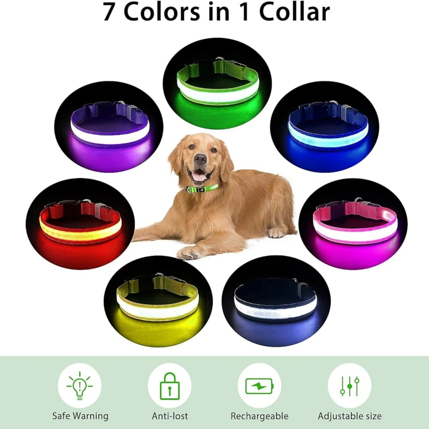 ibility and Safety - Long-lasting and Waterproof LED Light-up Collar for Dogs of all Sizes - Stay Safe and Stylish during Night
