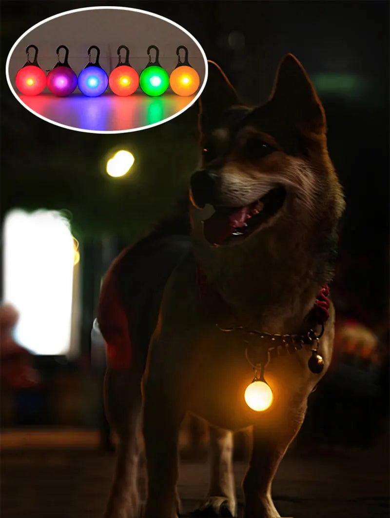 LED Luminous Dog & Cat Collar