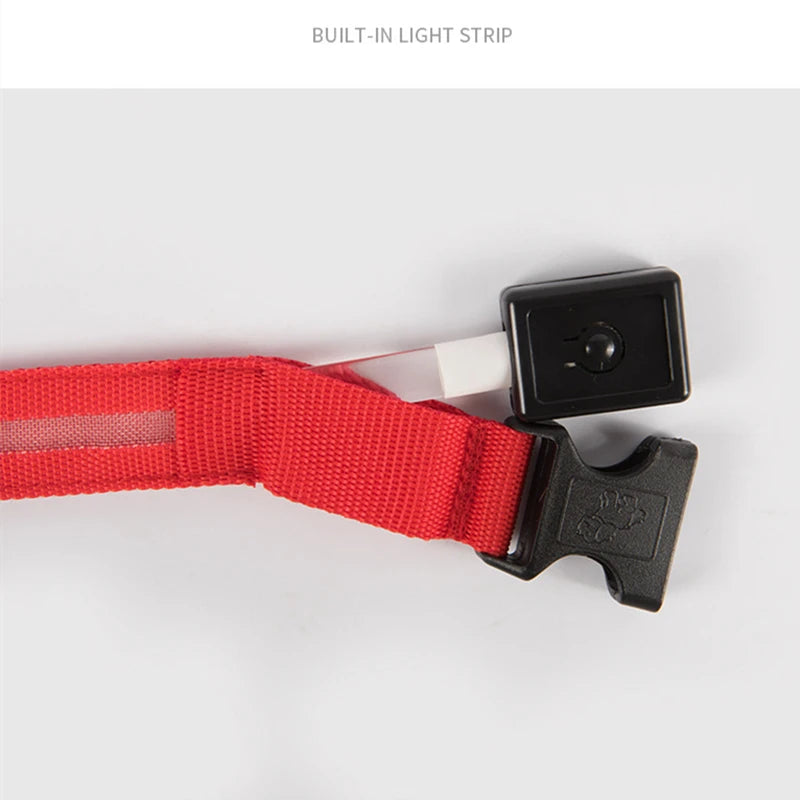 USB Rechargeable LED Pet Collar – Adjustable Glowing Safety Light