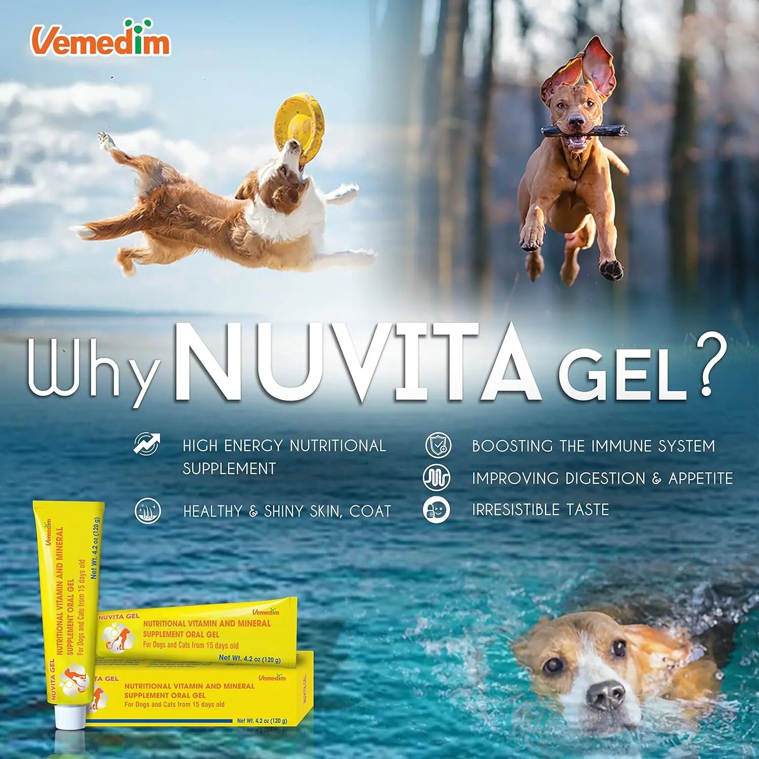 Premium Nutritional and Vitamin Gel for Dogs and Cats - Enhance Health, Boost Appetite, and Energize! Suitable for All Breeds an