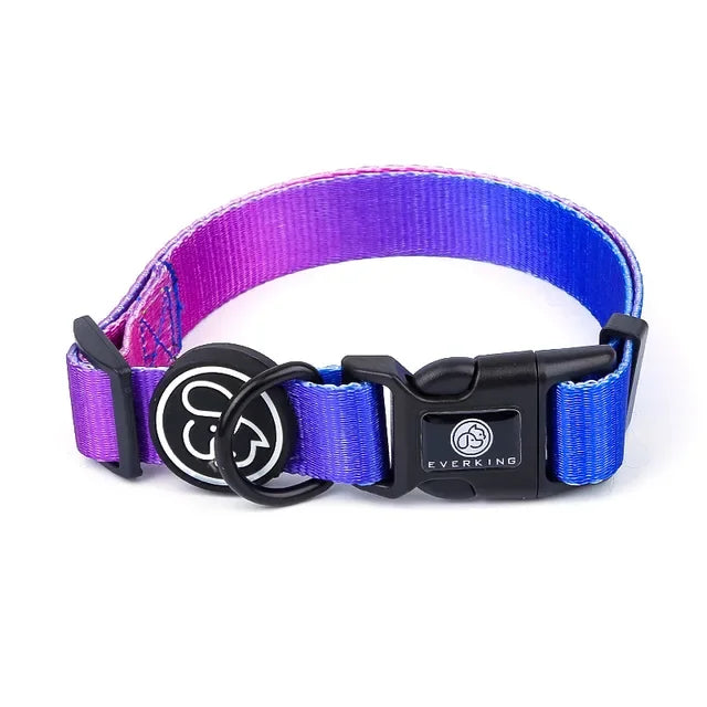 Gradient color Dog Collar and Leash Set dog luxury desgin harness for small medium and large dog harness and leash personalized