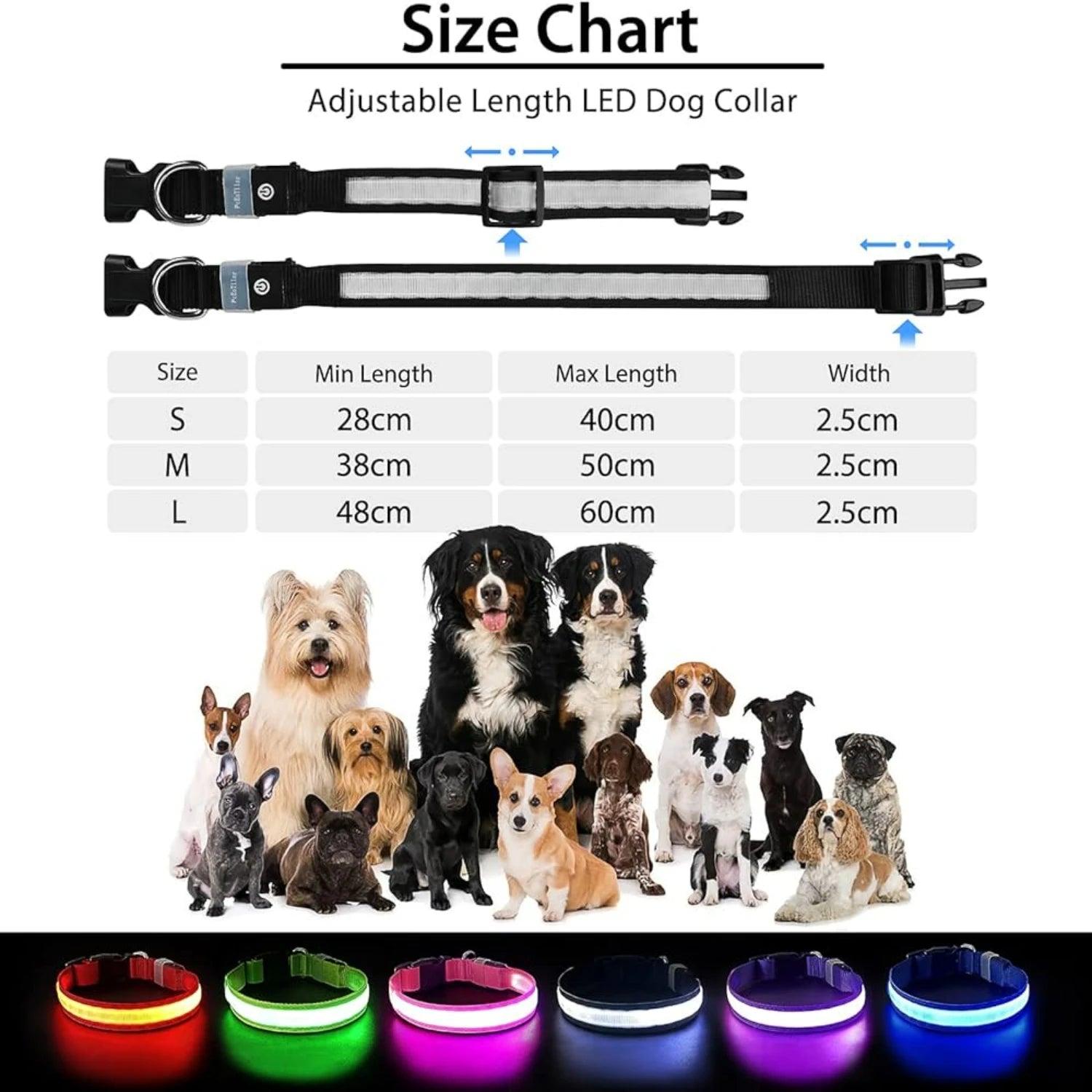 ibility and Safety - Long-lasting and Waterproof LED Light-up Collar for Dogs of all Sizes - Stay Safe and Stylish during Night