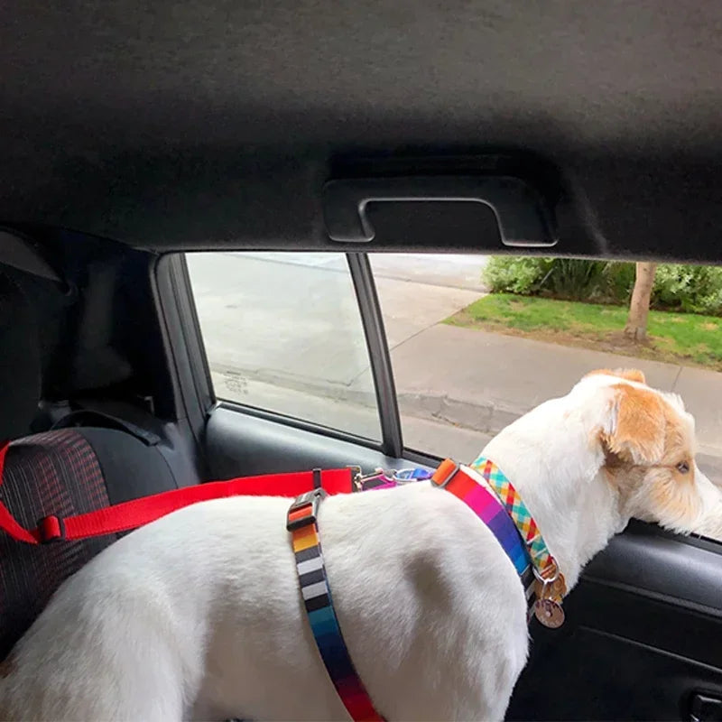 2-in-1 Pet Car Seat Belt & Leash – Adjustable Safety Harness