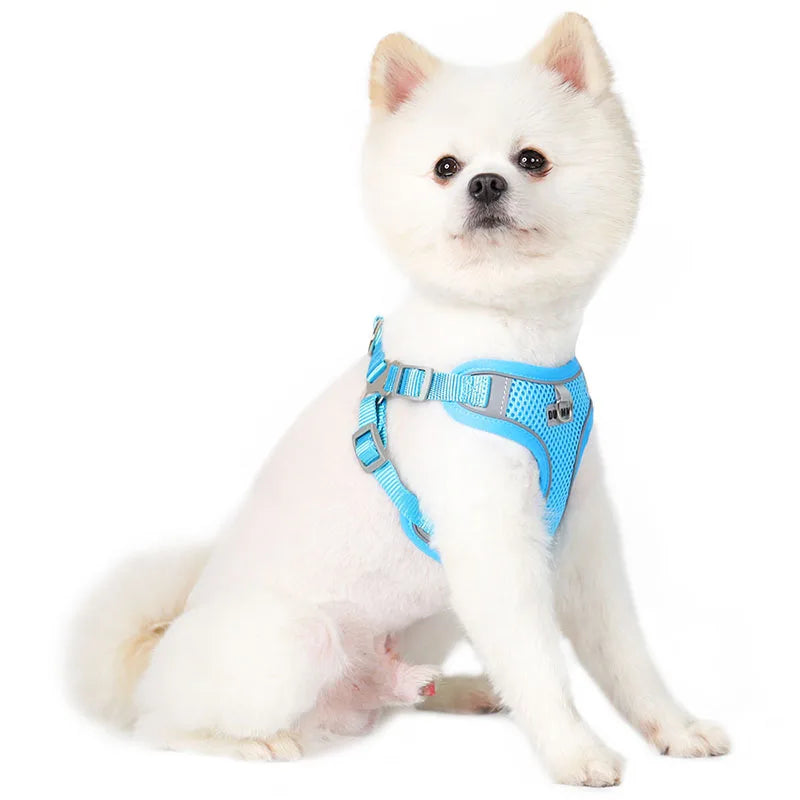 Dog Harness Leash Set for Small Medium Dog Cat Chest Strap Reflective Dog Clothes Vest Set Chihuahua Outdoor Walking Pet Supplie