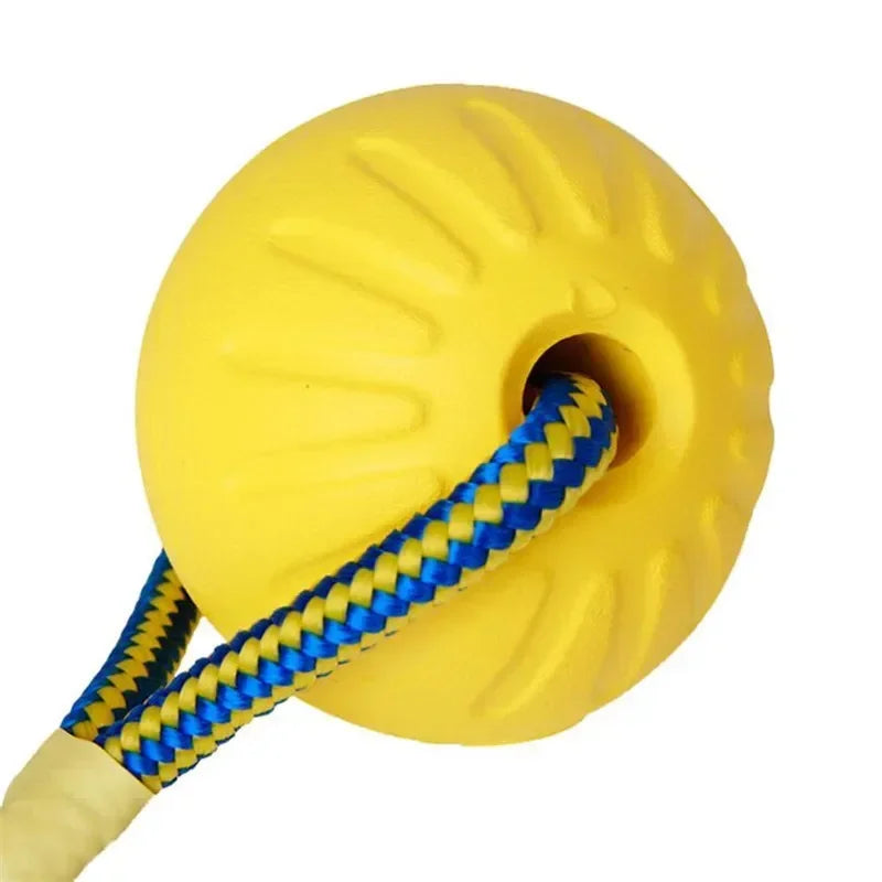 Indestructible Chew-Resistant Dog Ball Toy