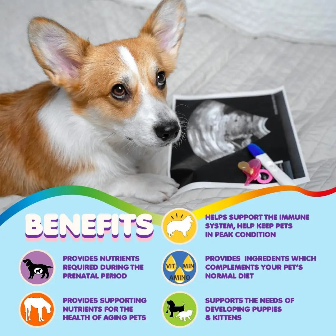 Prenatal Dog Vitamins – Multivitamin for Dogs and Cats with Folic Acid, Minerals and Amino Acids. Ideal for Pregnant, Breast