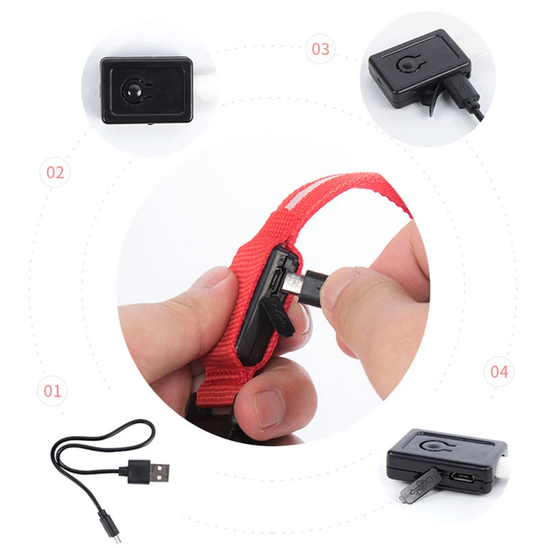 USB Rechargeable LED Pet Collar – Adjustable Glowing Safety Light