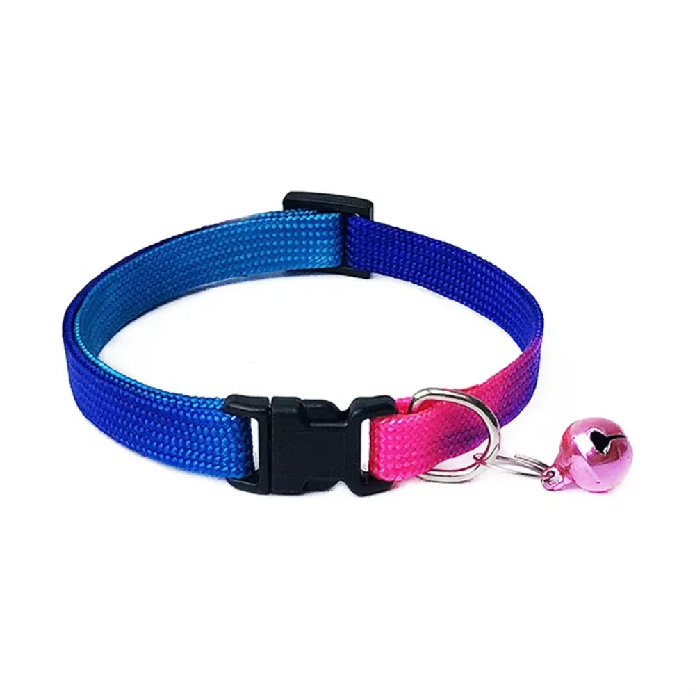 All-in-One Pet Gear Set – Collar, Clothes, Harness, Muzzle & Tag