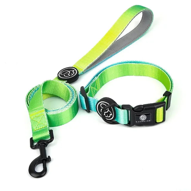 Gradient color Dog Collar and Leash Set dog luxury desgin harness for small medium and large dog harness and leash personalized