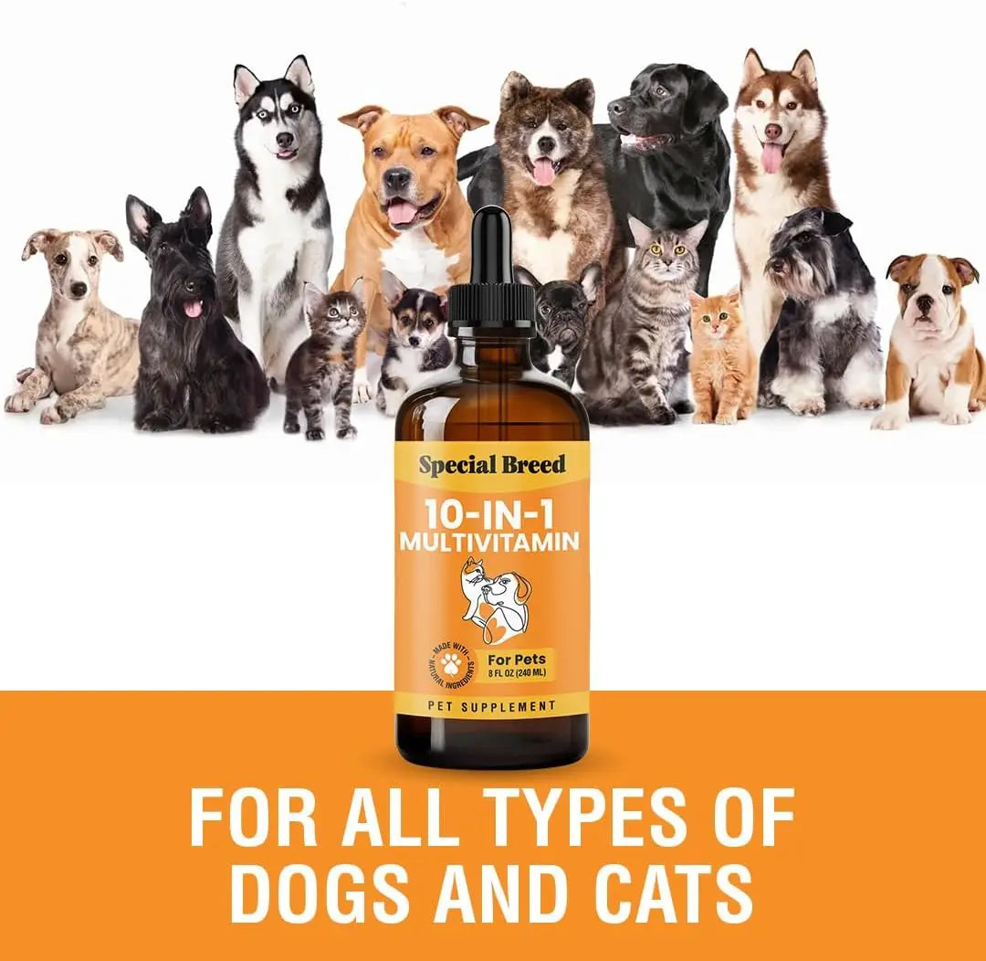 8 Ounce (Pack of 1)10-in-1 Liquid Multivitamin for Dogs and Cats, 8 Ounce Multi Vitamin Supplement, Vitamin for Dogs,  Cats,
