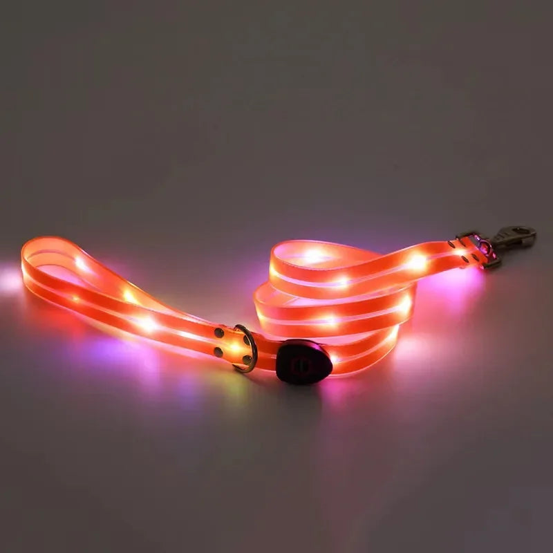 Led Light Up Dog Leash Walking Safety Glow in The Dark USB Rechargeable Adjustable for Large Medium Small Pet Lighted Dog Collar