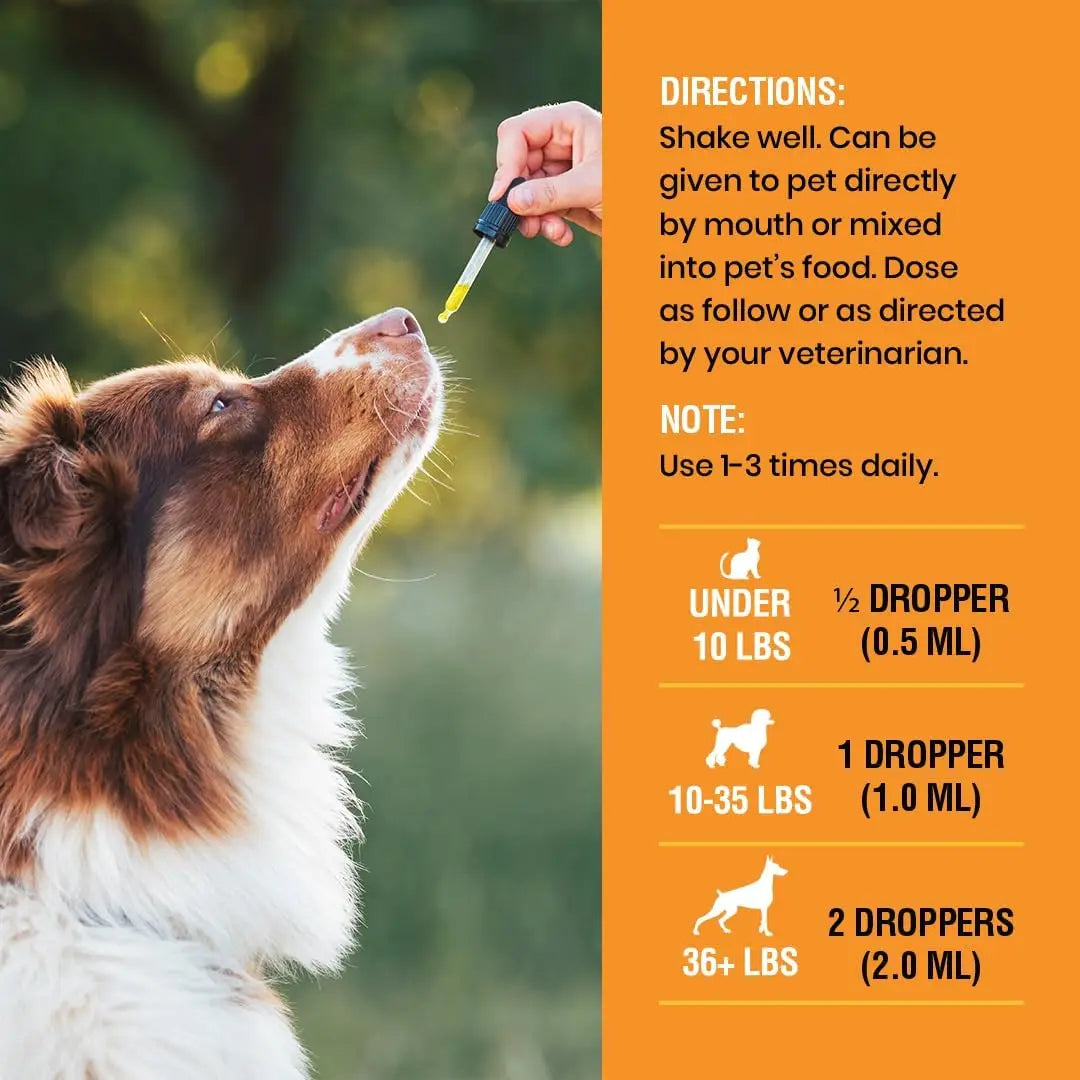 8 Ounce (Pack of 1)10-in-1 Liquid Multivitamin for Dogs and Cats, 8 Ounce Multi Vitamin Supplement, Vitamin for Dogs,  Cats,
