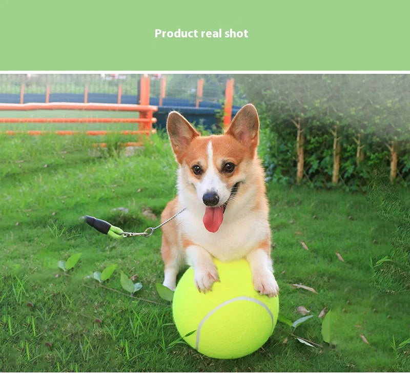 1 Pack 9.5 inch  Tennis Ball Large Dog Tennis Ball Pet Balls for Dogs for Outdoor/Indoor Sports Dog Gift Training Supplies