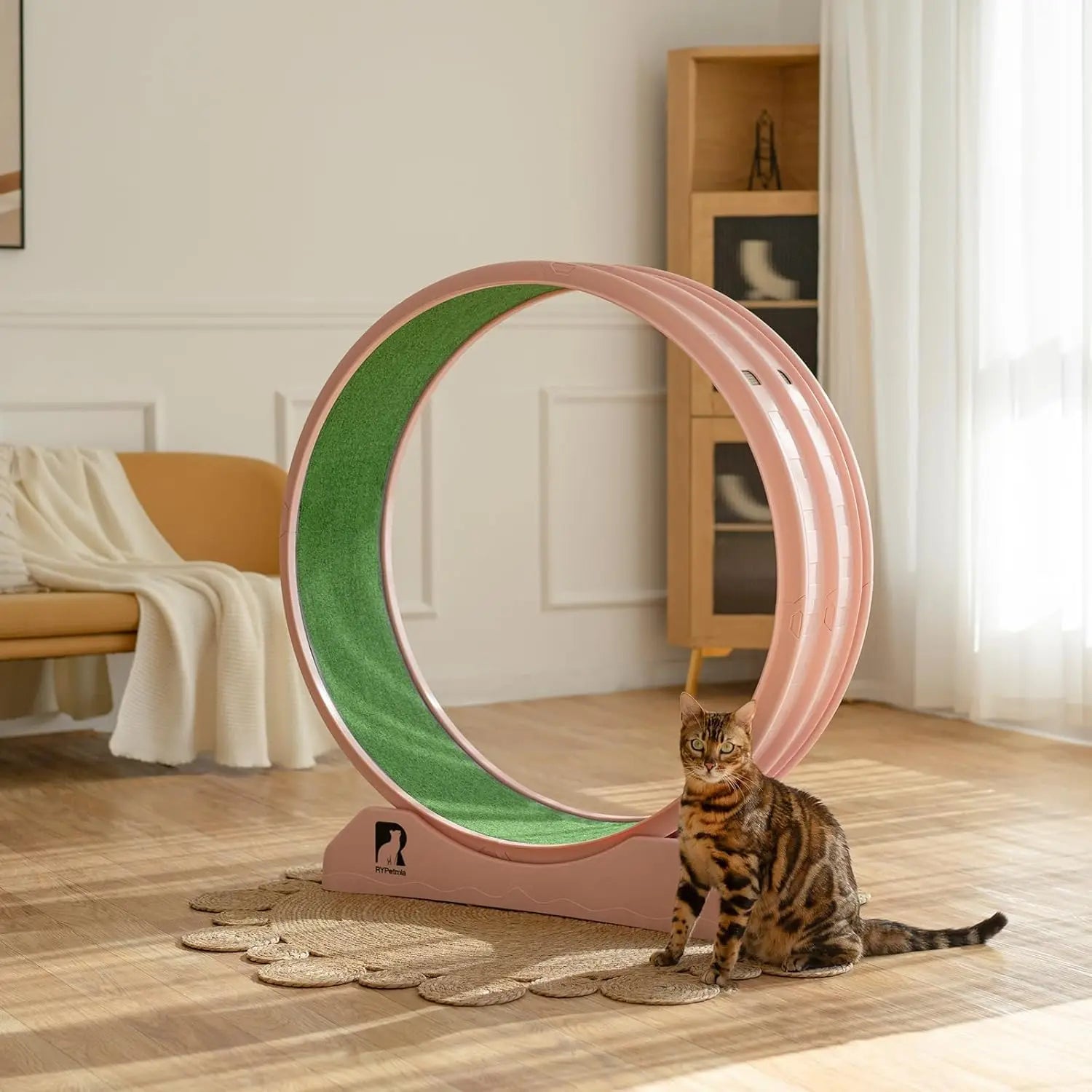 Cat Exercise Wheel, Cat Treadmill for Indoor Cats, Cat Running Wheel with Carpeted Runway, Easy to Install & Fitness & Health,