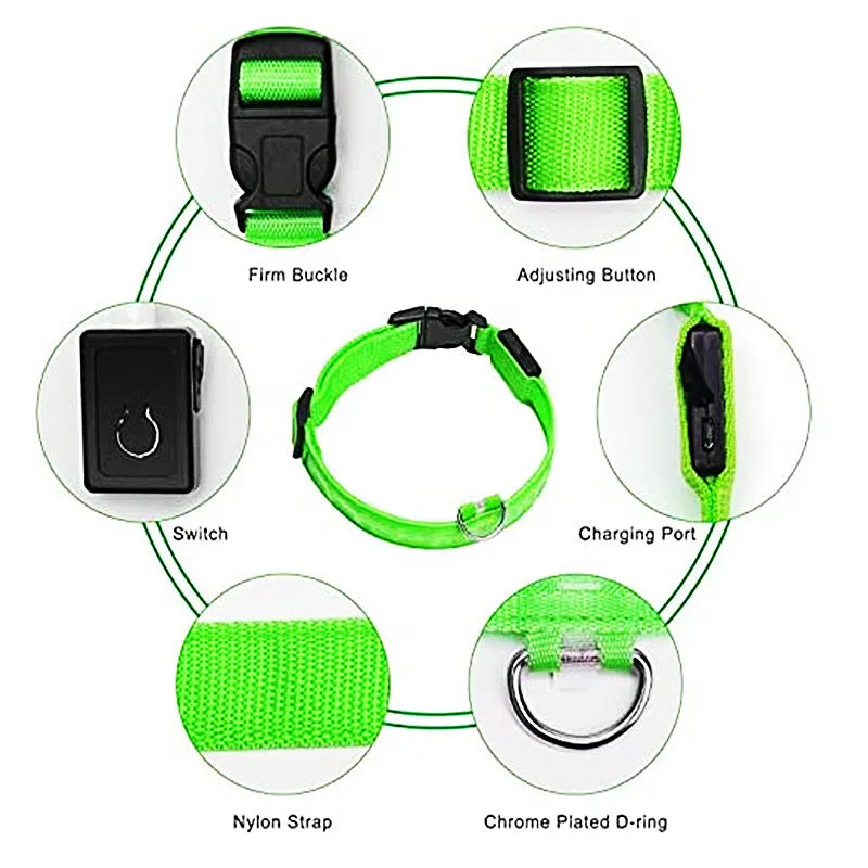 USB Rechargeable LED Pet Collar – Adjustable Glowing Safety Light