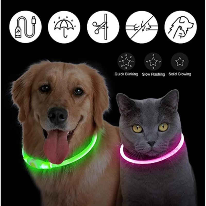 USB Rechargeable LED Pet Collar – Adjustable Glowing Safety Light