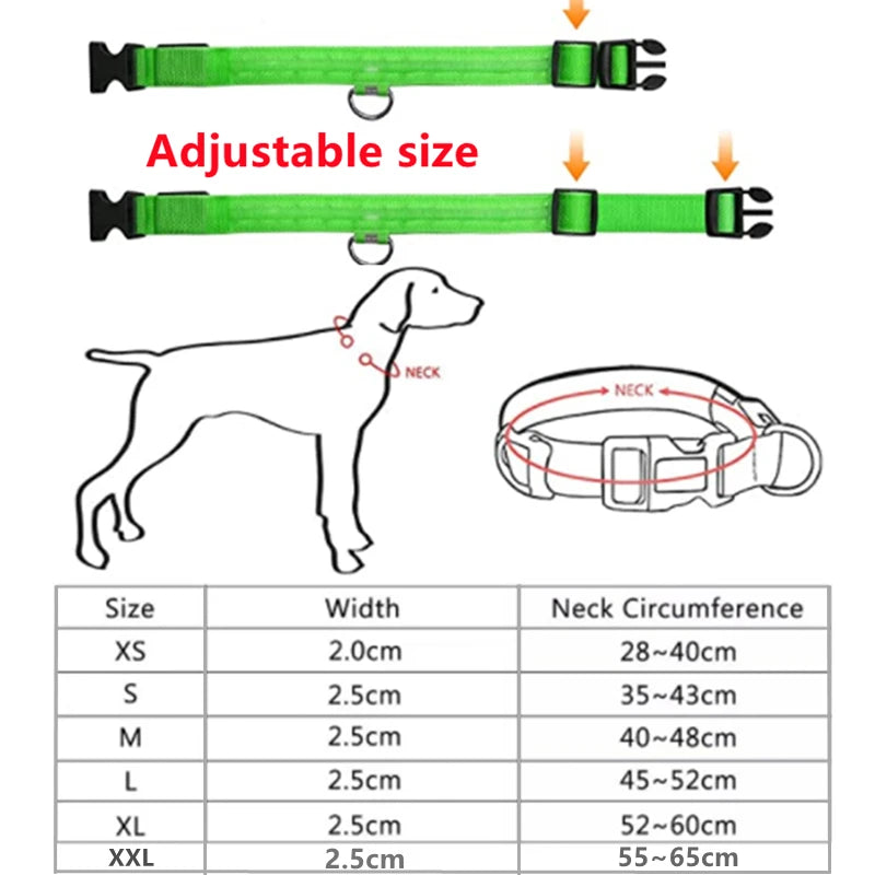 USB Rechargeable LED Pet Collar – Adjustable Glowing Safety Light